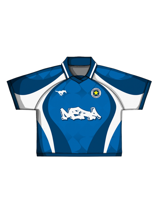 BLUE JERSEY